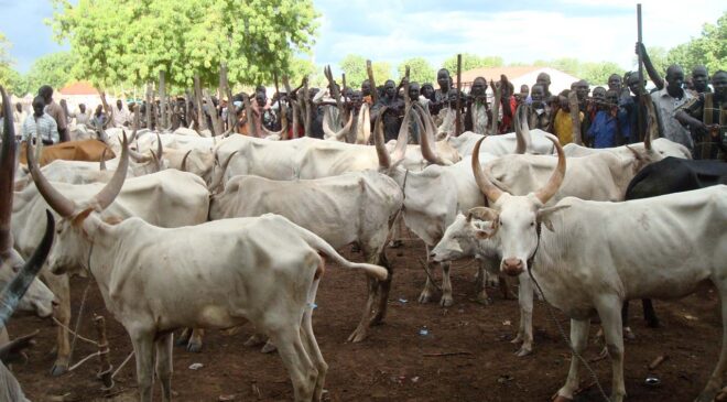 Abia: Security breaches at Lokpanta Cattle market put on hold